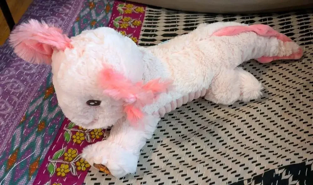 Girl Scout Cookies Stuffed Animal Lucy Axolotl Plush Pink Own Your Magic 16